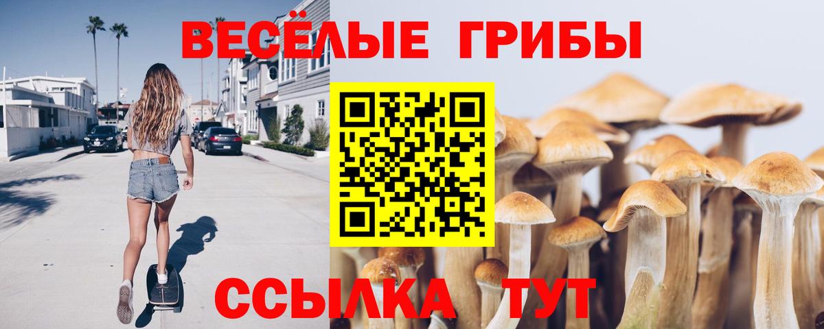 Галлюциногенные грибы Psilocybe Бугуруслан